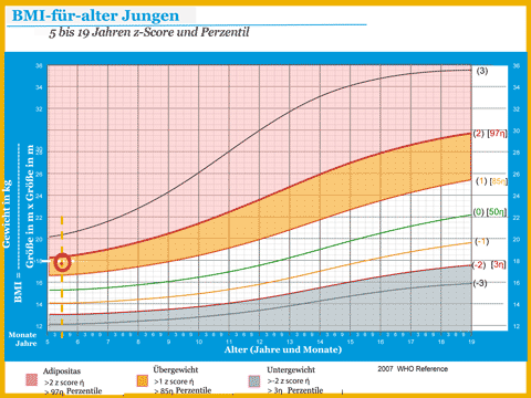 BMI für Junge